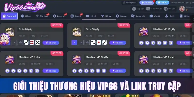 Những thắc mắc thường gặp khi đăng ký Vip66